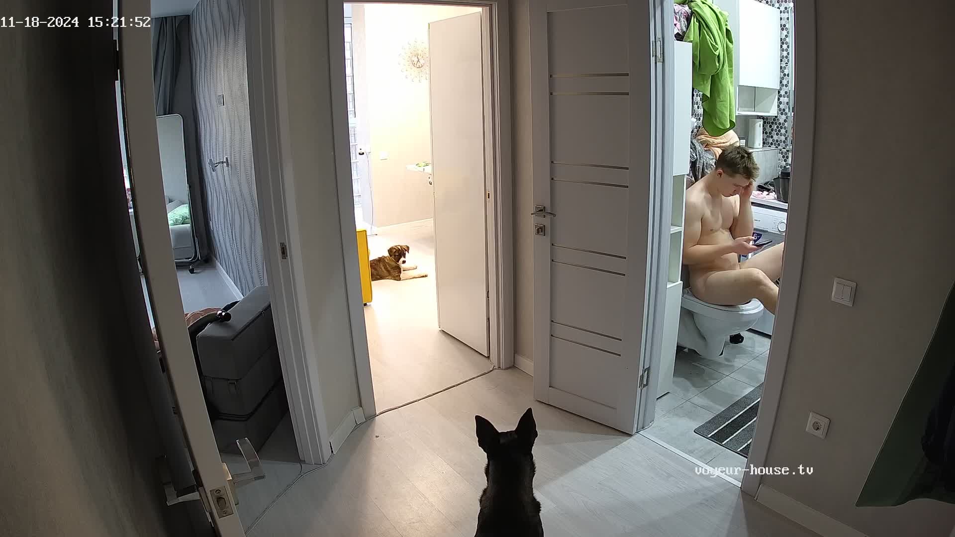 Pyro naked on toilet 18-11-2024