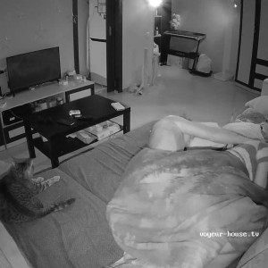 Watch videos for free at Voyeur House HD videos - Unlimited ...